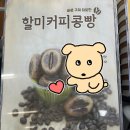 중앙도서관카페애노쉬