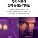 대상전자 | 📝 [10%환급대상]LG전자 4K UHD LED TV 후기📺 가성비와 안정성, 두 마리 토끼를 잡다 🐰