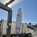 MS호텔 | 해운대 MS호텔 오션뷰 숙소 내돈내산 후기: 5성급 안 부러운 미친 오션뷰 (위치, 단점 솔직 정리)