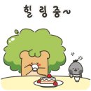 앤스김밥 이미지