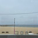 기태시스템 | 속초 갯배 타는 법 ➕ 중앙시장에서 사갈만한 먹거리 추천 ➕ 카페청호동