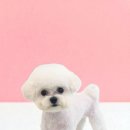 몽몽미용실 이미지