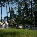 평화의 춤 이미지