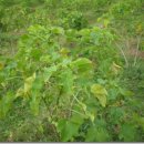 세기농장 이미지