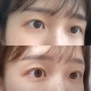 클레오파트라왁싱&뷰티 | [평택]동삭동 속눈썹펌 클레오파트라왁싱&뷰티 후기