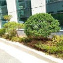 다성빌딩 이미지