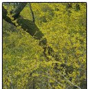 또또전자 이미지