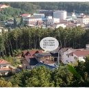 여주-0009 이미지