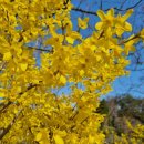 신세계백화점 의정부점 이미지