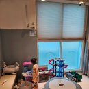 서울아이사랑치과의원 이미지