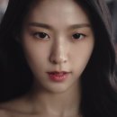 폴라워 이미지