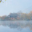 아름다운밀양농장 이미지