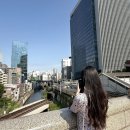 세븐일레븐인천경서타운점 | [5월 일본 도쿄 골든위크 자유여행 2박3일] 1일차 일정 코스 포토존 맛집 숙소 추천