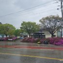 방산면종합복지회관 이미지