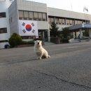 계성면사무소 이미지