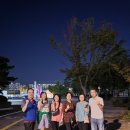 넷스토아 이미지