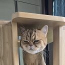 유퍼스 이미지