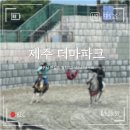 더마파크 | 제주 더마파크 공연 솔직 후기!