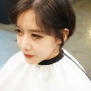 헤어애봄 - 전주시 완산구 | 헤어애봄