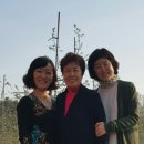 그곳에가면차와밥 이미지