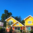 로뎀편백나무펜션 이미지