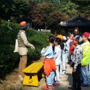 노전초등학교 이미지