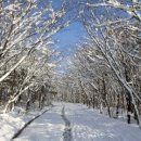 송학보건진료소 이미지