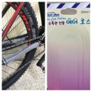 스테이 지천 이미지