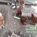 하민농장 이미지