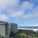 서대문족발내곡점 이미지