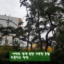 자산동247 이미지