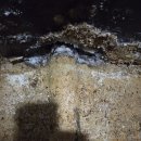 대조동주민센터 | 은평구 대조동에서 정화조 막힘 정화조수리 해결 생생한 후기!