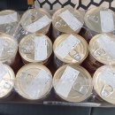 개냥이아울렛 이미지