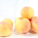 백두농장2 이미지