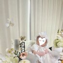 다온떡 | 백일떡 고민 끝! 의정부 다온설기 떡맛집 백일떡 솔직 후기