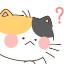 명족발 진칼국수 이미지