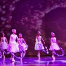 수원발레축제 이미지