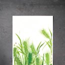 청보리공방 이미지
