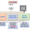 대구장 이미지