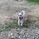 푼타하우스
