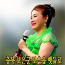 * 충북 보은 대추 축제 * 이미지