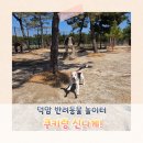 세븐일레븐 대전덕암점 | 대전 반려동물 놀이터 덕암야구장 평일 후기 | 신탄진 한적한 강아지 운동장