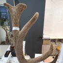 원용농장 이미지