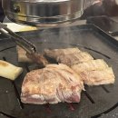 오늘 생고기 | 관저동 신상 삼겹살 맛집 초원생고기 솔직 후기