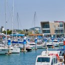 테마투어(해양생태 체험) 이미지