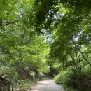 우이령 탐방로 후기｜서울 근교 9km 트레킹, 3시간 코스 완전 정리