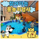장아초등학교 | 스페셜데이추천]전국 출동하는 유치원 물놀이 행사! 인천 장아초등학교 친구들과 함께한 주식회사주주!