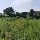 미조초등학교호도분교장 이미지