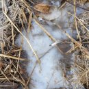 뽀스락뽀스락 이미지