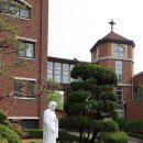 천주섭리수녀회 이미지